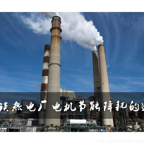 淺談熱電廠電機(jī)節(jié)能降耗的途徑 電機(jī)知識 第1張