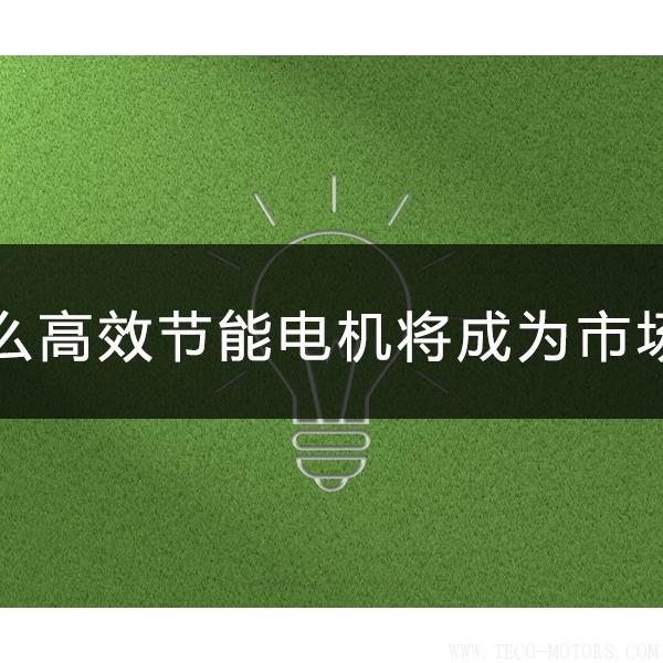 為什么高效節(jié)能電機(jī)將會(huì)成為市場(chǎng)主流