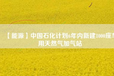 【能源】中國(guó)石化計(jì)劃6年內(nèi)新建1000座車(chē)用天然氣加氣站