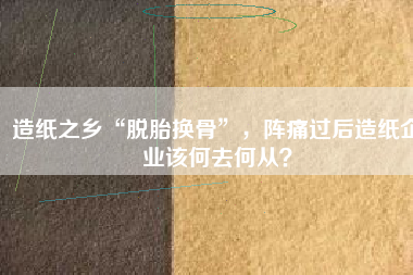 造紙之鄉(xiāng)“脫胎換骨”，陣痛過(guò)后造紙企業(yè)該何去何從？