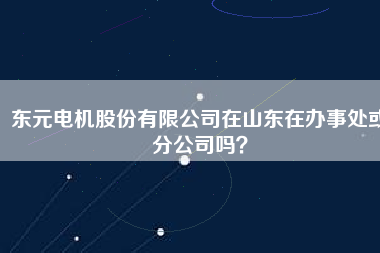 東元電機(jī)股份有限公司在山東在辦事處或分公司嗎？