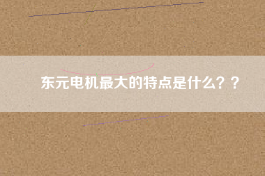 東元電機(jī)最大的特點(diǎn)是什么？？