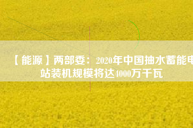 【能源】兩部委：2020年中國抽水蓄能電站裝機規(guī)模將達4000萬千瓦