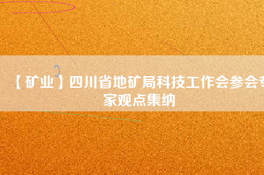 【礦業(yè)】四川省地礦局科技工作會參會專家觀點集納