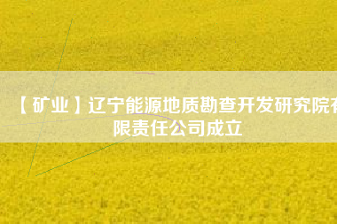 【礦業(yè)】遼寧能源地質(zhì)勘查開發(fā)研究院有限責(zé)任公司成立