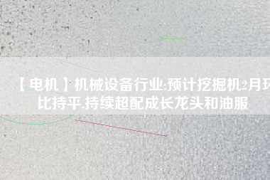 【電機(jī)】機(jī)械設(shè)備行業(yè):預(yù)計(jì)挖掘機(jī)2月環(huán)比持平,持續(xù)超配成長龍頭和油服
          