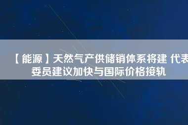 【能源】天然氣產(chǎn)供儲(chǔ)銷體系將建 代表委員建議加快與國際價(jià)格接軌