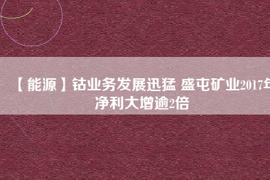 【能源】鈷業(yè)務(wù)發(fā)展迅猛 盛屯礦業(yè)2017年凈利大增逾2倍