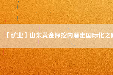 【礦業(yè)】山東黃金深挖內(nèi)潛走國際化之路