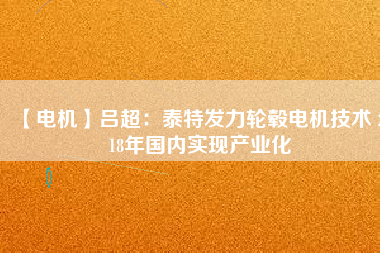 【電機(jī)】呂超：泰特發(fā)力輪轂電機(jī)技術(shù) 2018年國內(nèi)實(shí)現(xiàn)產(chǎn)業(yè)化
          