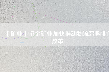 【礦業(yè)】招金礦業(yè)加快推動(dòng)物流采購(gòu)業(yè)的改革