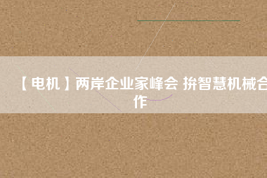 【電機(jī)】兩岸企業(yè)家峰會 拚智慧機(jī)械合作
          