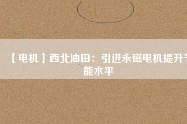 【電機(jī)】西北油田：引進(jìn)永磁電機(jī)提升節(jié)能水平
          