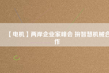 【電機(jī)】兩岸企業(yè)家峰會 拚智慧機(jī)械合作
          