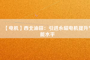 【電機(jī)】西北油田：引進(jìn)永磁電機(jī)提升節(jié)能水平
          