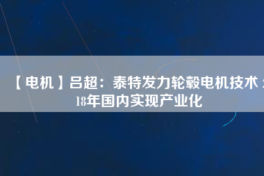 【電機(jī)】呂超：泰特發(fā)力輪轂電機(jī)技術(shù) 2018年國內(nèi)實(shí)現(xiàn)產(chǎn)業(yè)化
          