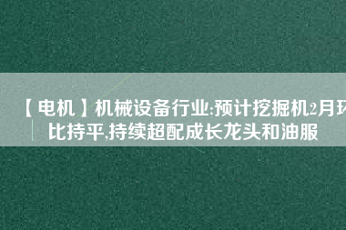 【電機(jī)】機(jī)械設(shè)備行業(yè):預(yù)計(jì)挖掘機(jī)2月環(huán)比持平,持續(xù)超配成長龍頭和油服
          