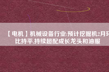 【電機(jī)】機(jī)械設(shè)備行業(yè):預(yù)計(jì)挖掘機(jī)2月環(huán)比持平,持續(xù)超配成長龍頭和油服
          