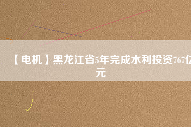 【電機(jī)】黑龍江省5年完成水利投資767億元
          