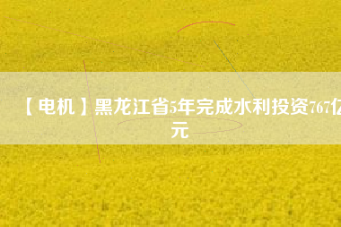 【電機(jī)】黑龍江省5年完成水利投資767億元
          