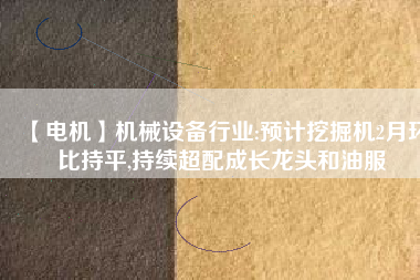 【電機(jī)】機(jī)械設(shè)備行業(yè):預(yù)計(jì)挖掘機(jī)2月環(huán)比持平,持續(xù)超配成長龍頭和油服
          