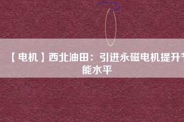 【電機(jī)】西北油田：引進(jìn)永磁電機(jī)提升節(jié)能水平
          