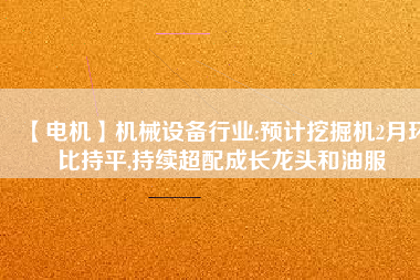 【電機(jī)】機(jī)械設(shè)備行業(yè):預(yù)計(jì)挖掘機(jī)2月環(huán)比持平,持續(xù)超配成長龍頭和油服
          