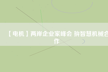 【電機(jī)】兩岸企業(yè)家峰會 拚智慧機(jī)械合作
          