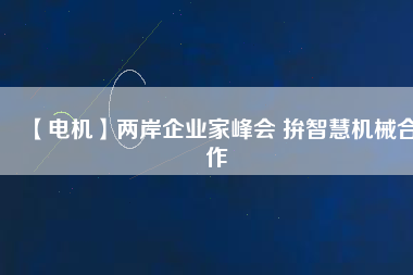 【電機(jī)】兩岸企業(yè)家峰會 拚智慧機(jī)械合作
          