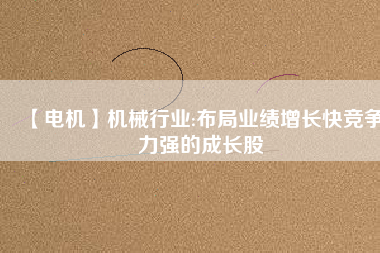 【電機(jī)】機(jī)械行業(yè):布局業(yè)績(jī)?cè)鲩L(zhǎng)快競(jìng)爭(zhēng)力強(qiáng)的成長(zhǎng)股
          