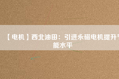 【電機(jī)】西北油田：引進(jìn)永磁電機(jī)提升節(jié)能水平
          