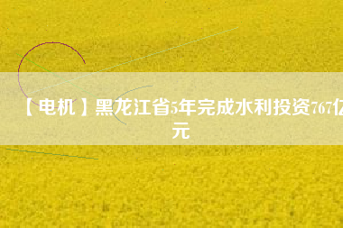 【電機(jī)】黑龍江省5年完成水利投資767億元
          