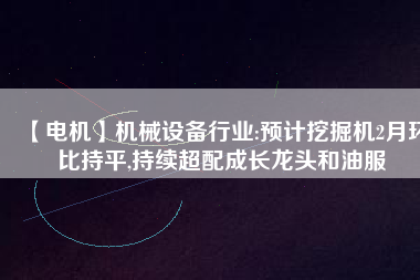 【電機(jī)】機(jī)械設(shè)備行業(yè):預(yù)計(jì)挖掘機(jī)2月環(huán)比持平,持續(xù)超配成長龍頭和油服
          