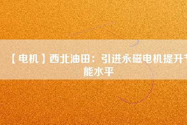 【電機(jī)】西北油田：引進(jìn)永磁電機(jī)提升節(jié)能水平
          