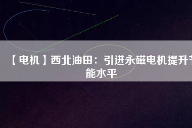 【電機(jī)】西北油田：引進(jìn)永磁電機(jī)提升節(jié)能水平
          