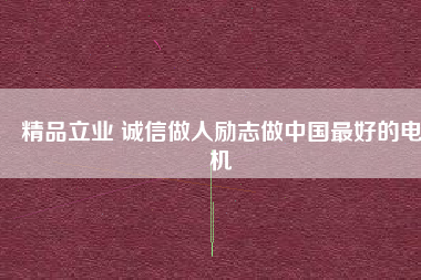 精品立業(yè) 誠信做人勵志做中國最好的電機(jī)
          