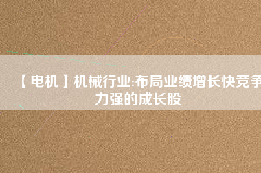 【電機(jī)】機(jī)械行業(yè):布局業(yè)績(jī)?cè)鲩L(zhǎng)快競(jìng)爭(zhēng)力強(qiáng)的成長(zhǎng)股
          