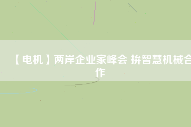 【電機(jī)】兩岸企業(yè)家峰會 拚智慧機(jī)械合作
          