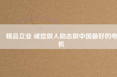 精品立業(yè) 誠信做人勵志做中國最好的電機(jī)
          