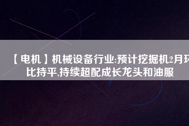 【電機(jī)】機(jī)械設(shè)備行業(yè):預(yù)計(jì)挖掘機(jī)2月環(huán)比持平,持續(xù)超配成長龍頭和油服
          