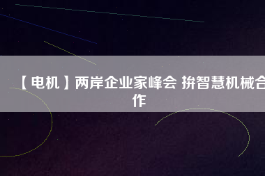 【電機(jī)】兩岸企業(yè)家峰會 拚智慧機(jī)械合作
          