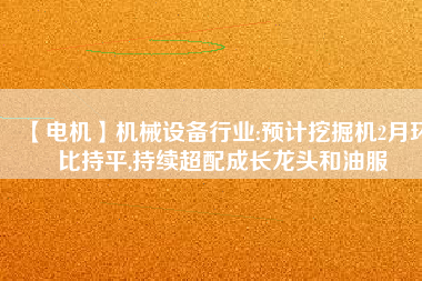 【電機(jī)】機(jī)械設(shè)備行業(yè):預(yù)計(jì)挖掘機(jī)2月環(huán)比持平,持續(xù)超配成長龍頭和油服
          