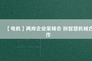 【電機(jī)】兩岸企業(yè)家峰會 拚智慧機(jī)械合作
          