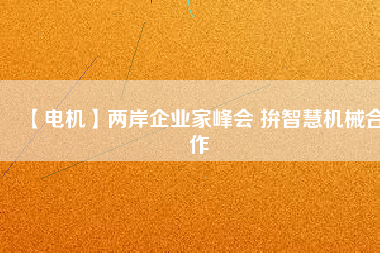 【電機(jī)】兩岸企業(yè)家峰會 拚智慧機(jī)械合作
          