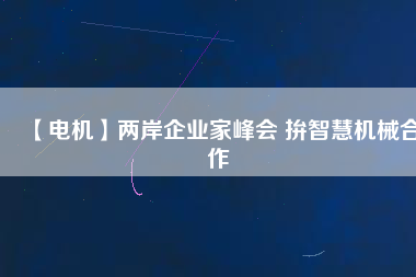 【電機(jī)】兩岸企業(yè)家峰會 拚智慧機(jī)械合作
          