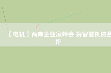 【電機(jī)】兩岸企業(yè)家峰會 拚智慧機(jī)械合作
          