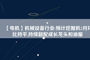 【電機(jī)】機(jī)械設(shè)備行業(yè):預(yù)計(jì)挖掘機(jī)2月環(huán)比持平,持續(xù)超配成長龍頭和油服
          