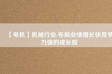 【電機(jī)】機(jī)械行業(yè):布局業(yè)績(jī)?cè)鲩L(zhǎng)快競(jìng)爭(zhēng)力強(qiáng)的成長(zhǎng)股
          