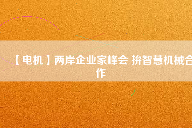 【電機(jī)】兩岸企業(yè)家峰會 拚智慧機(jī)械合作
          