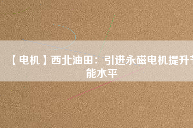 【電機(jī)】西北油田：引進(jìn)永磁電機(jī)提升節(jié)能水平
          